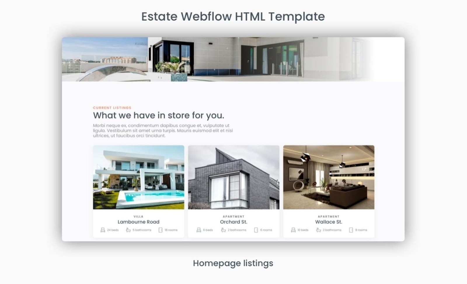 Real Estate Listing Website Template