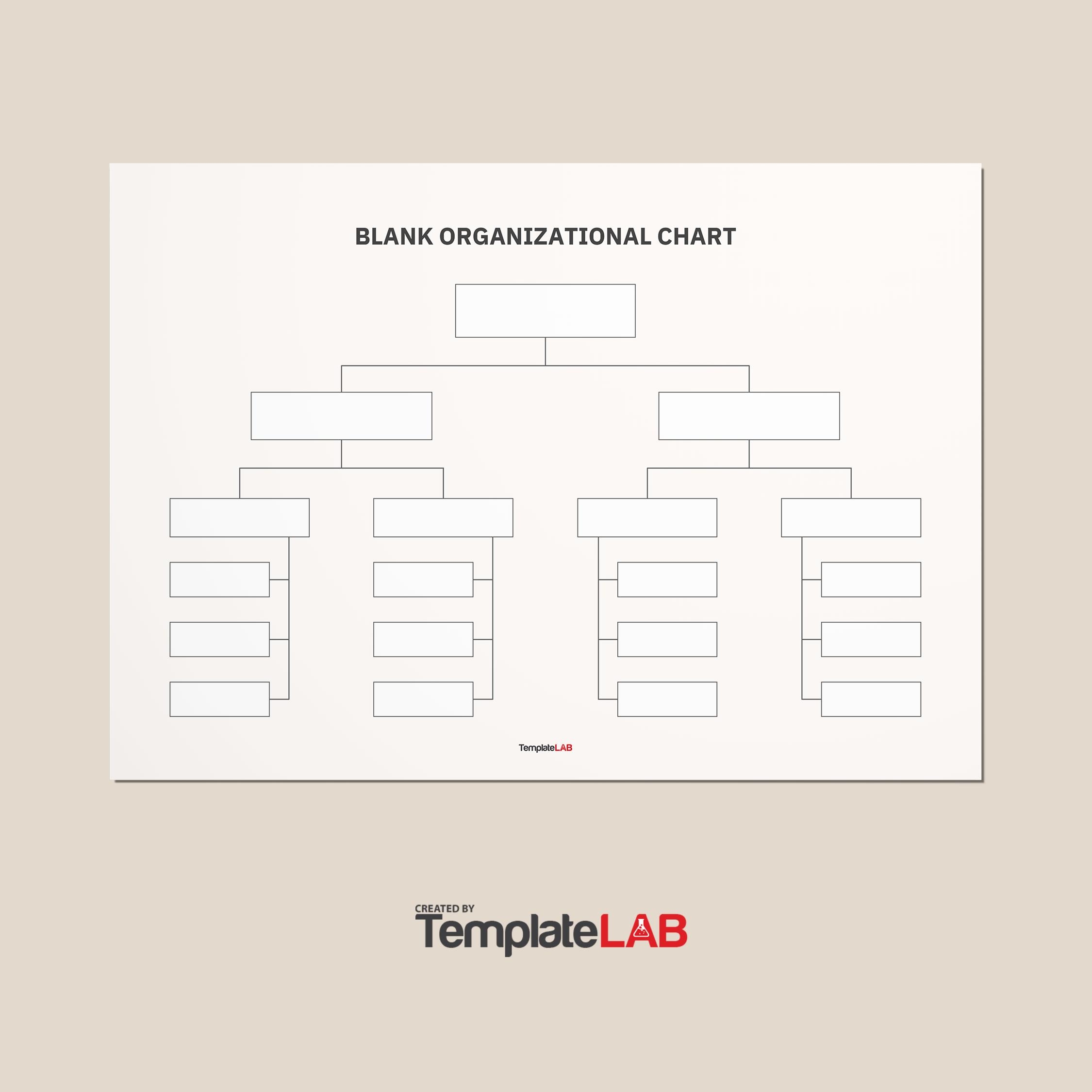 Blank Organizational Chart Template Word