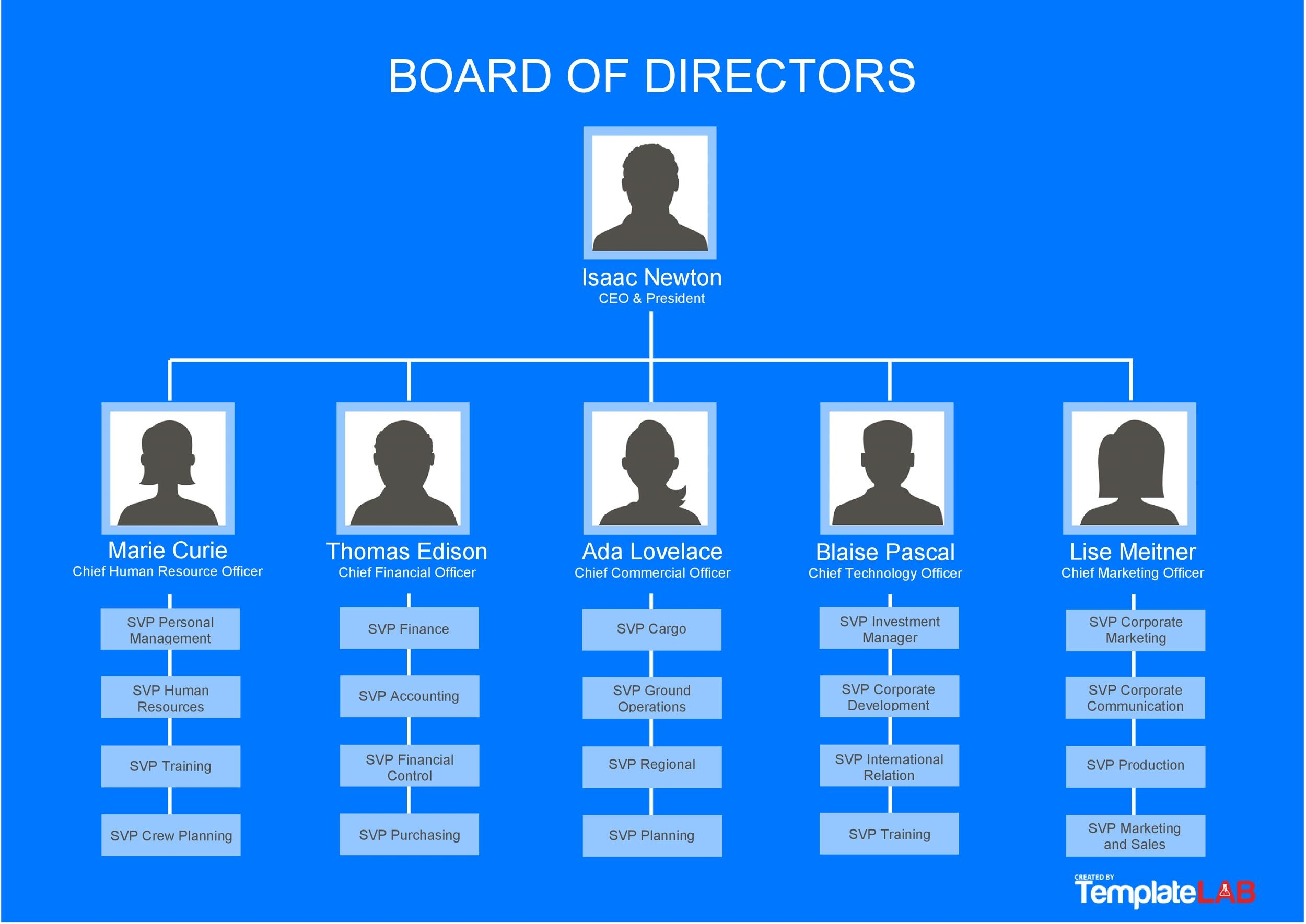 Organizational Chart Word Template Free