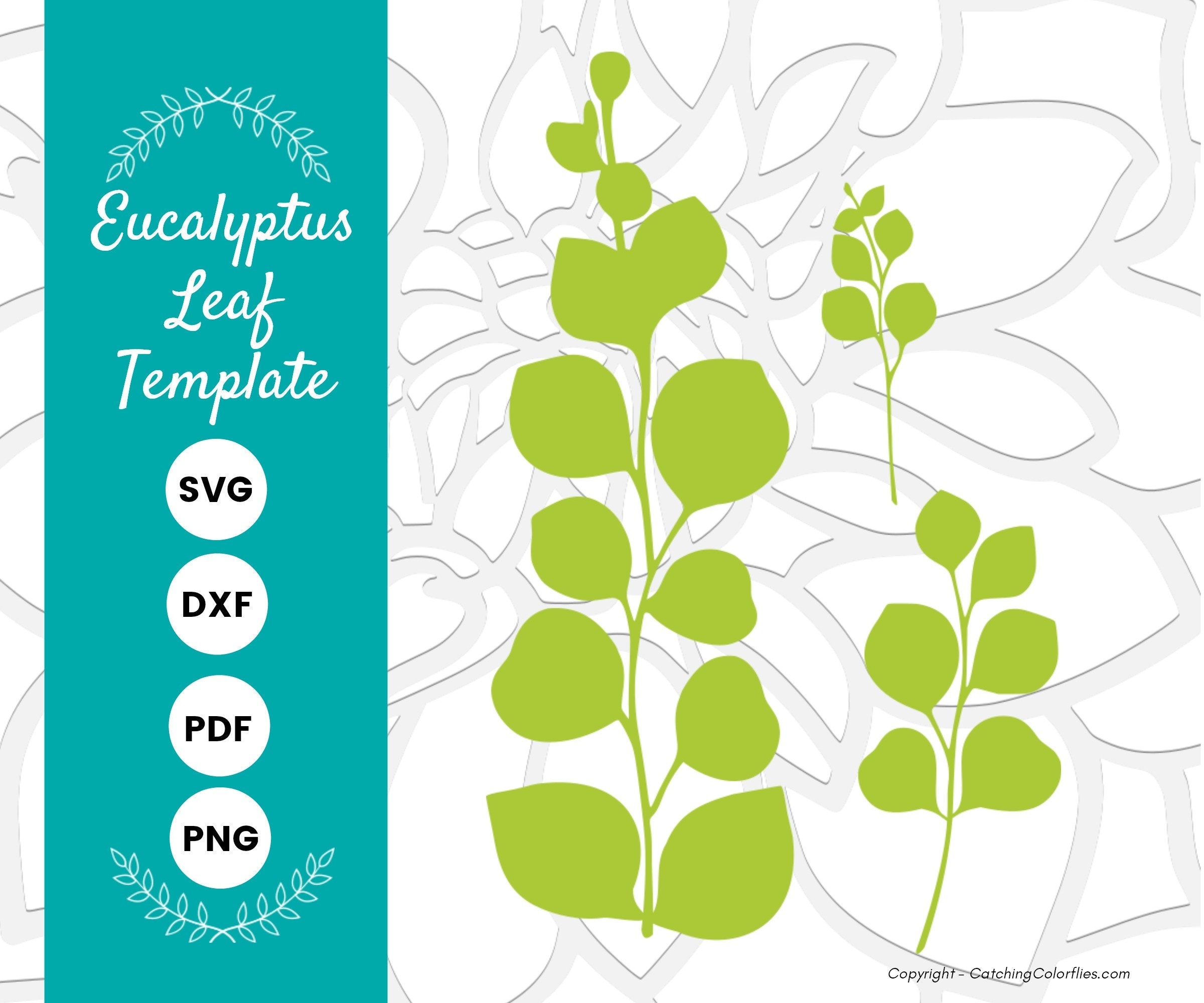 Eucalyptus Paper Leaf Template Eucalyptus Vine Svg Eucalyptus SVG DXF Cut Files And Printable PDF Instant Download Etsy Australia
