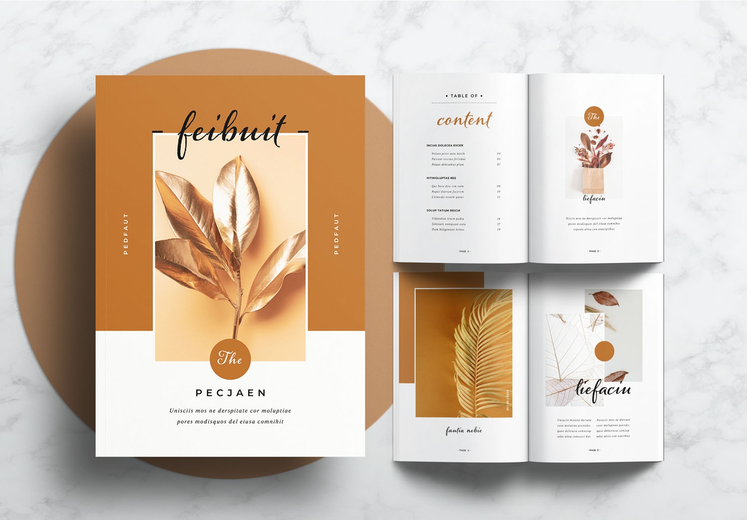Free Printable Portfolio Templates