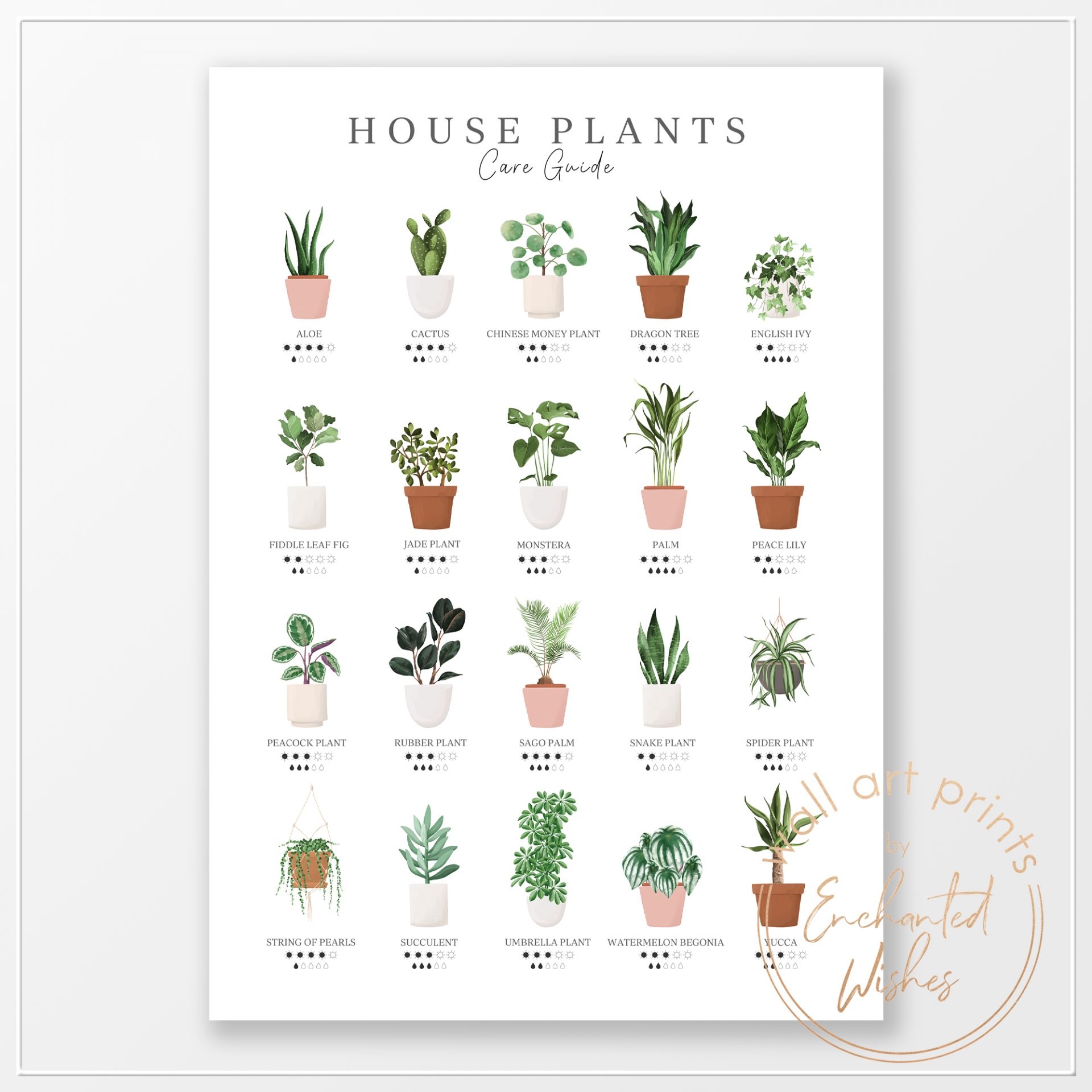 Free Printable House Plant Template