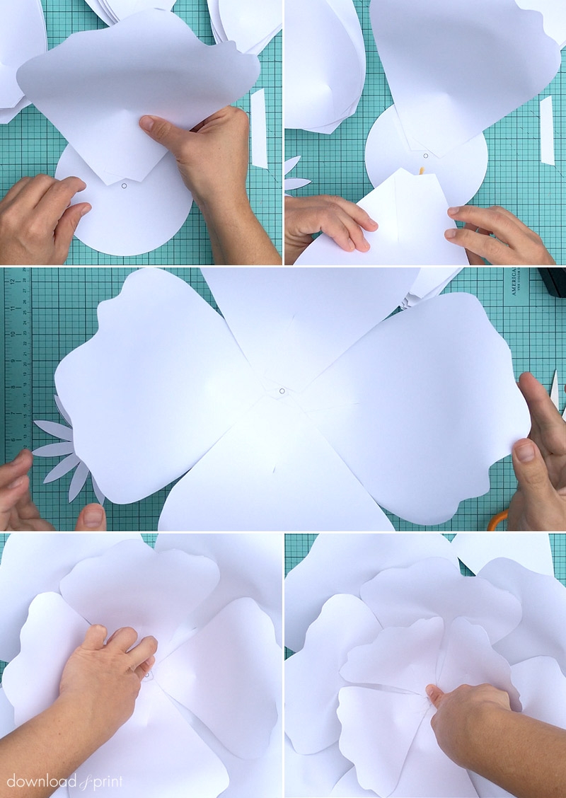 Free Printable Big Paper Flower Template