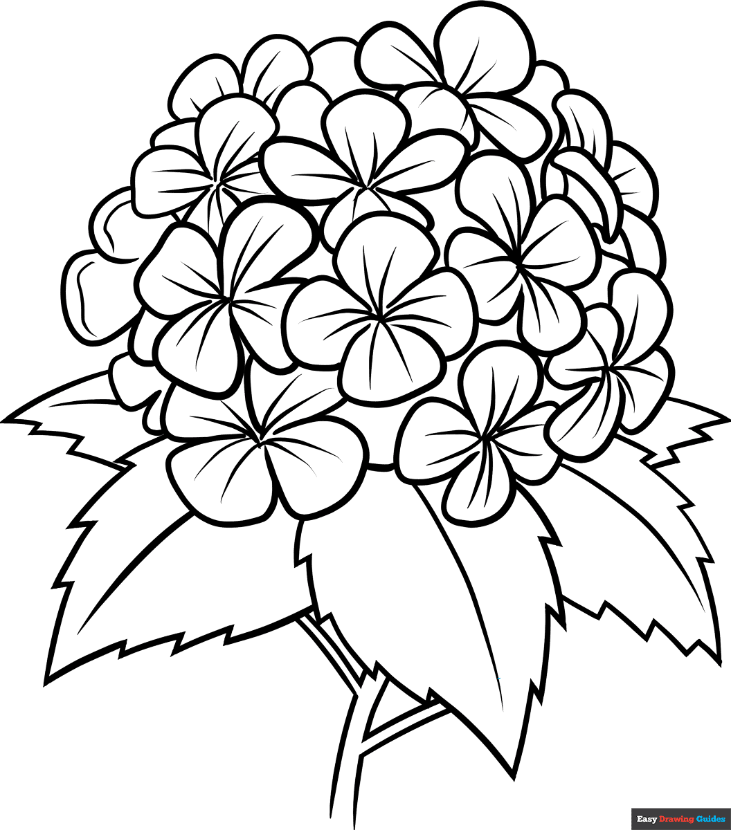 Free Printable Coloring Pages Flowers