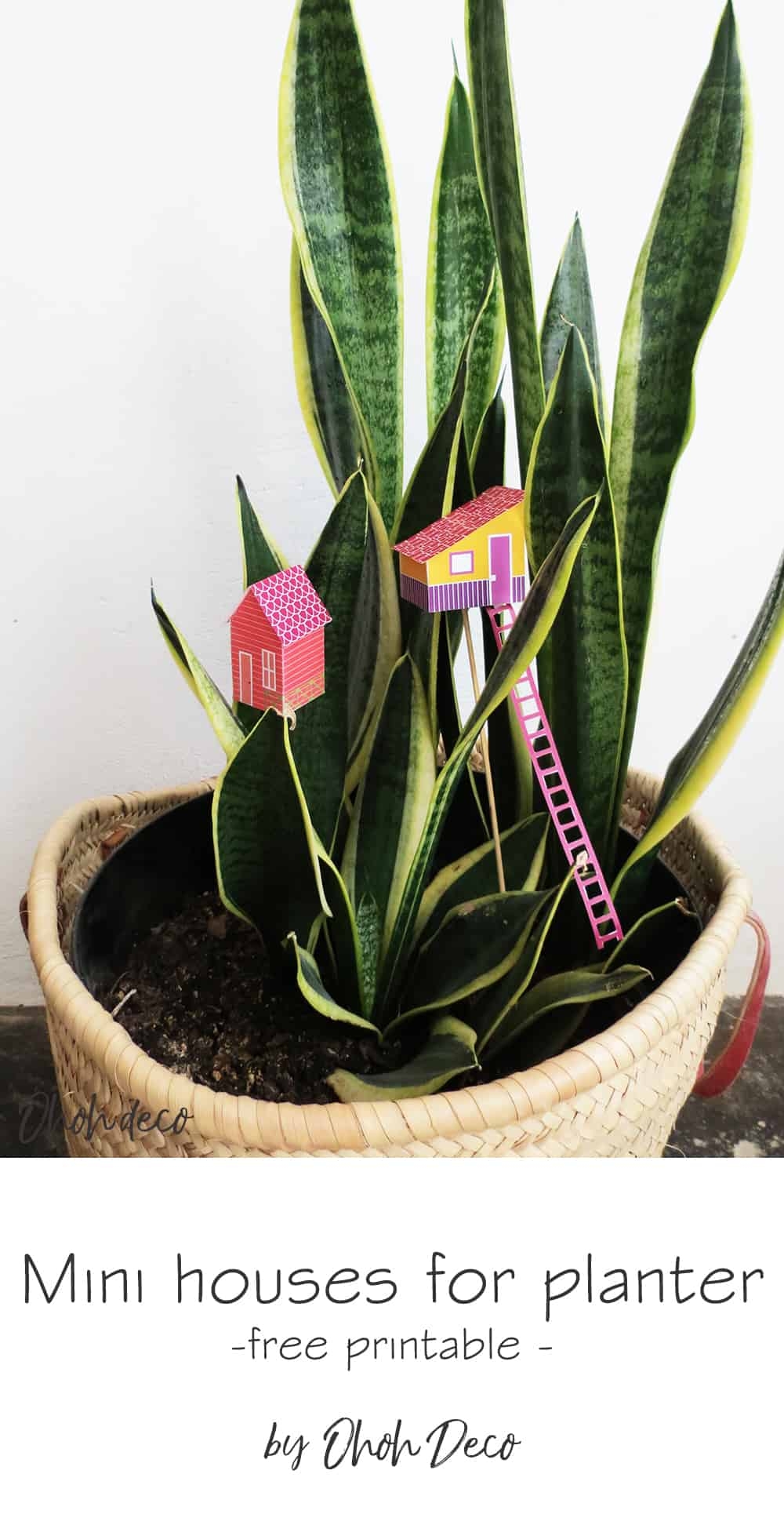 Free Printable House Plant Template