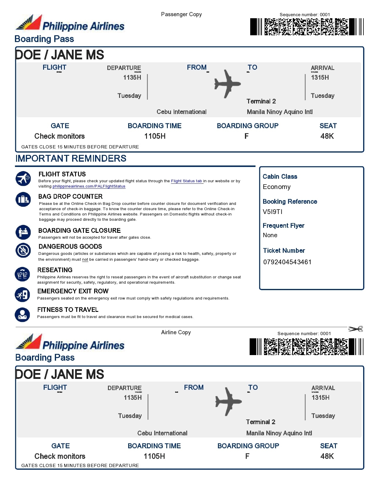 Free Printable Airline Ticket Template Pdf