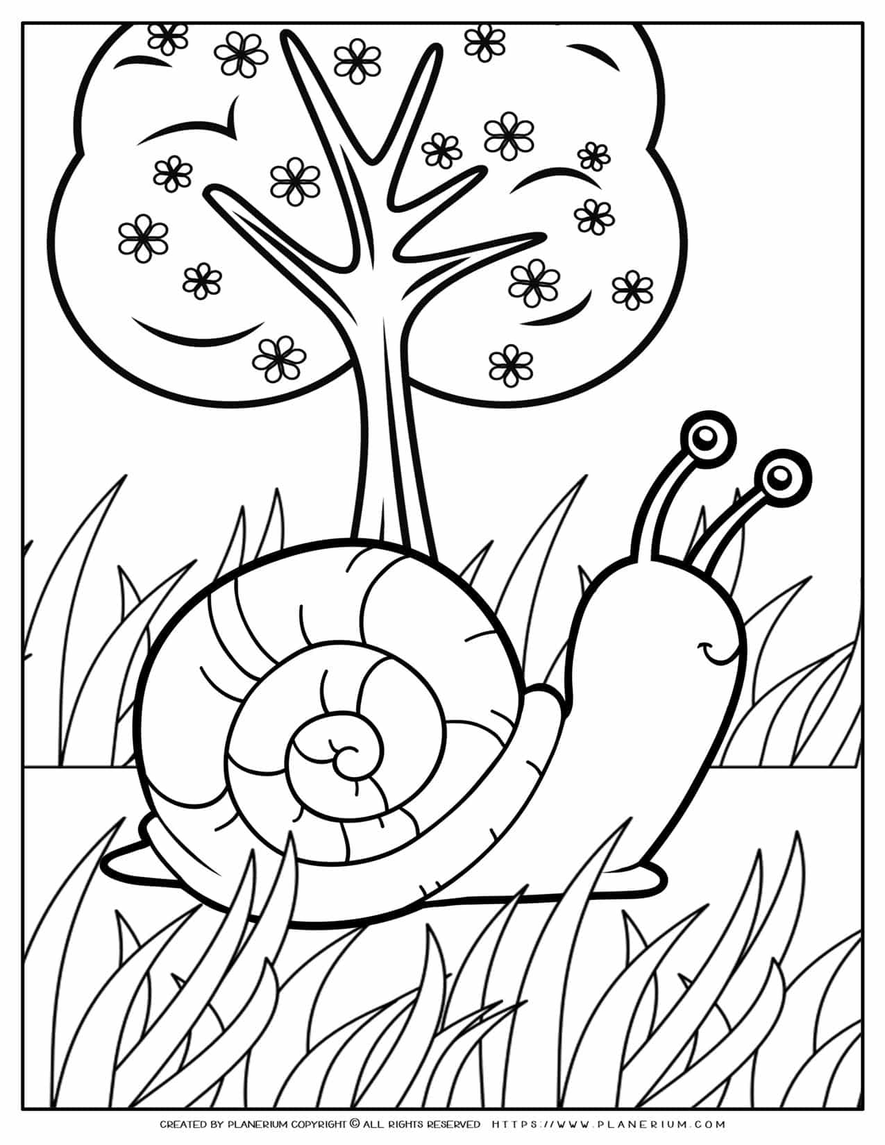 Free Printable Animal Template Snail
