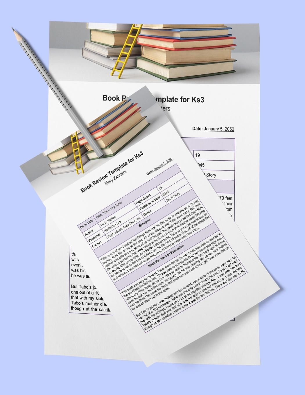 Book Review Template Ks3 In Word Google Docs Download Template
