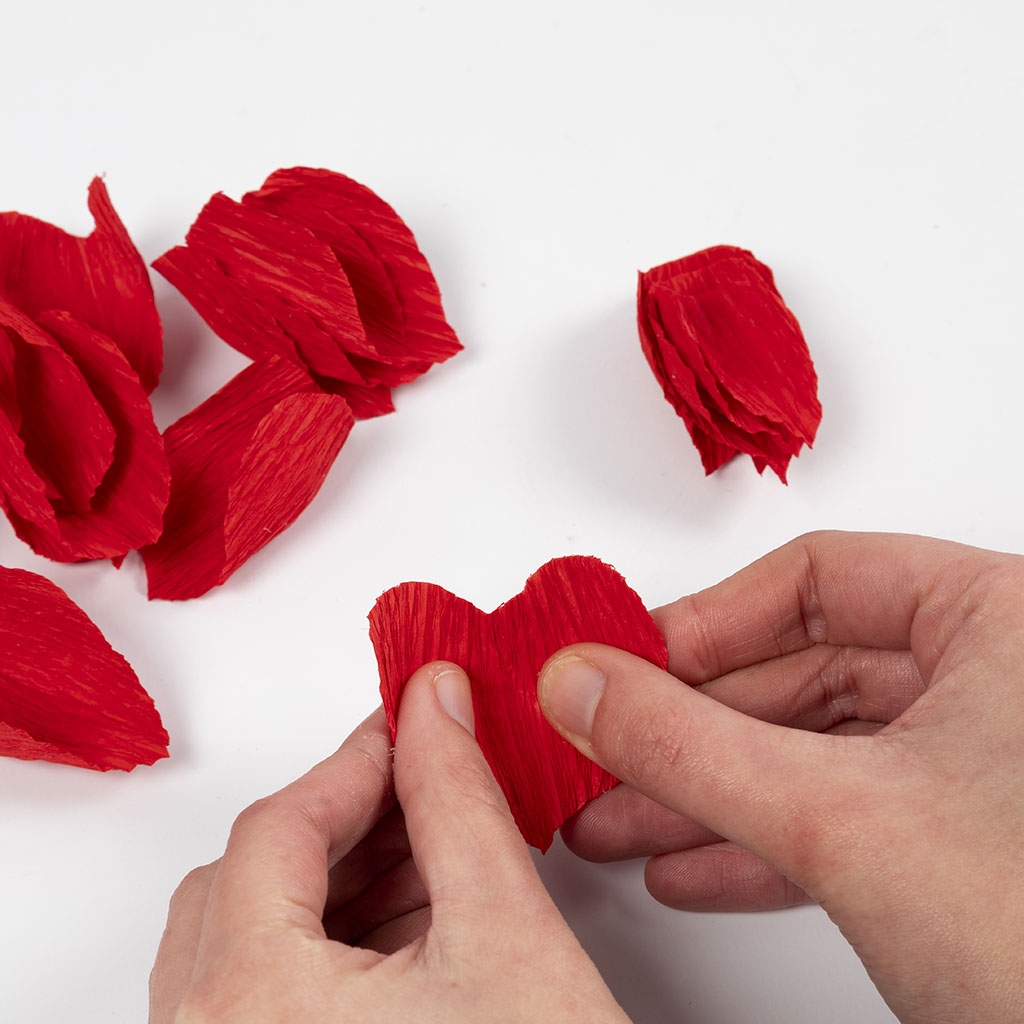 Cr pe Paper Rose