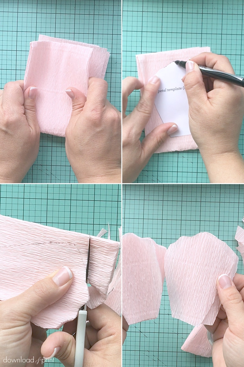 Rose Template Free Printable Crepe Paper