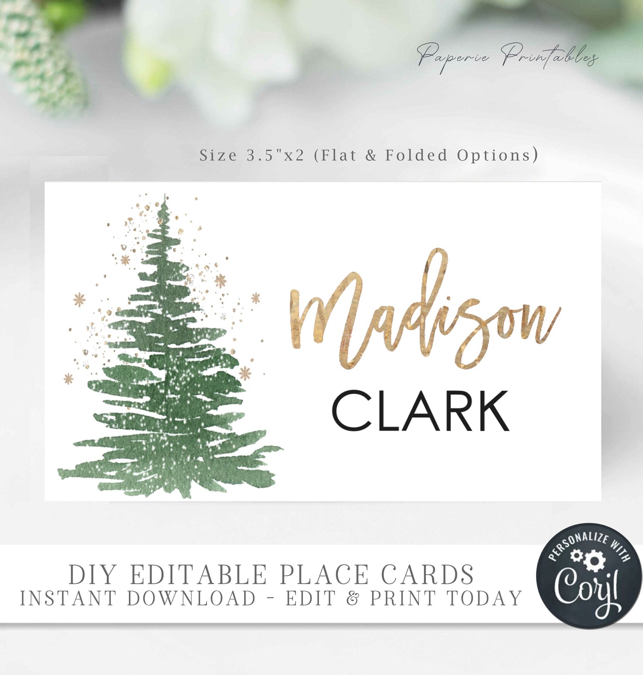 Printable Place Card Template Free Christmas