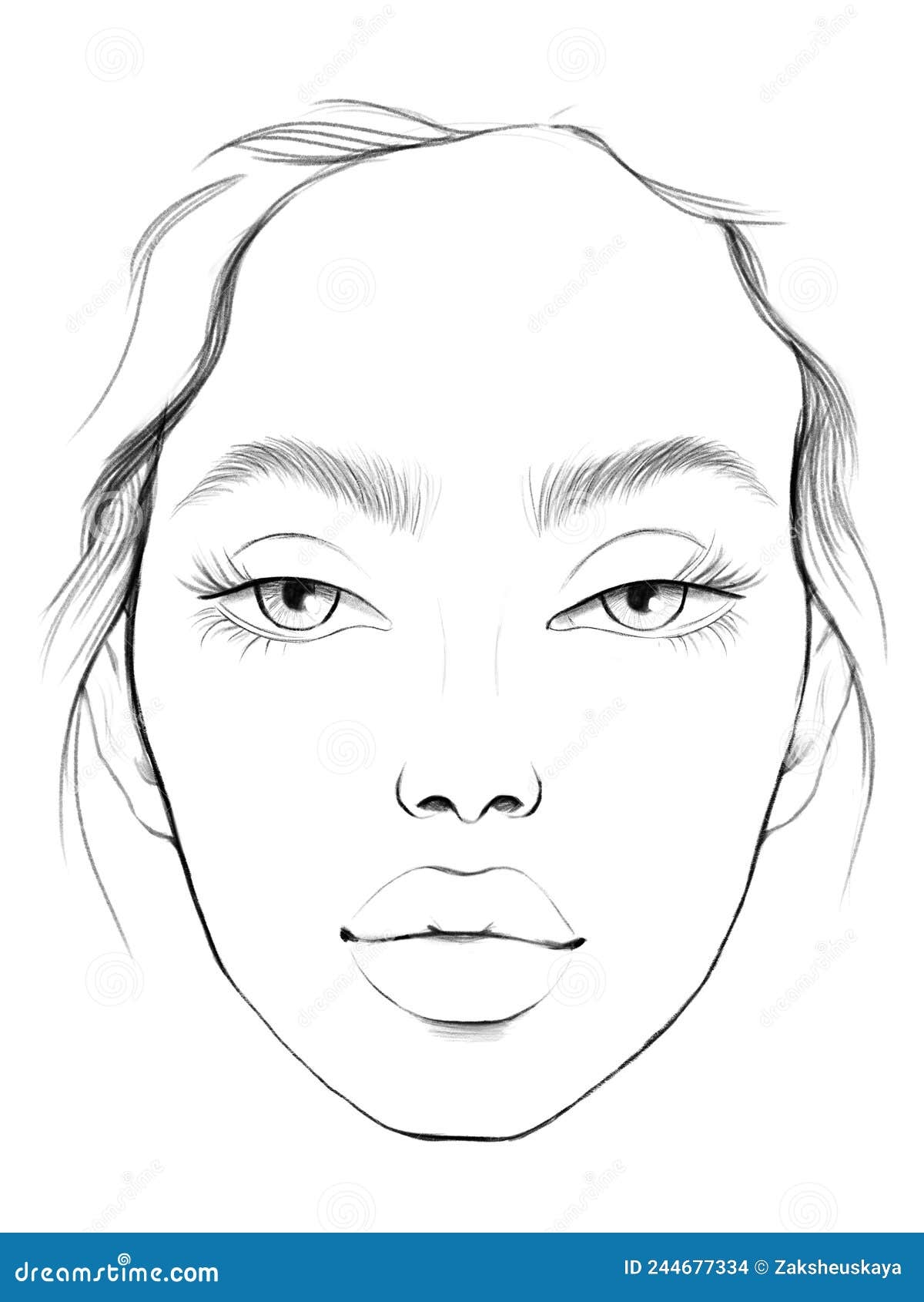 Face Chart Makeup Artist Blank Beautiful Woman Portrait Face 