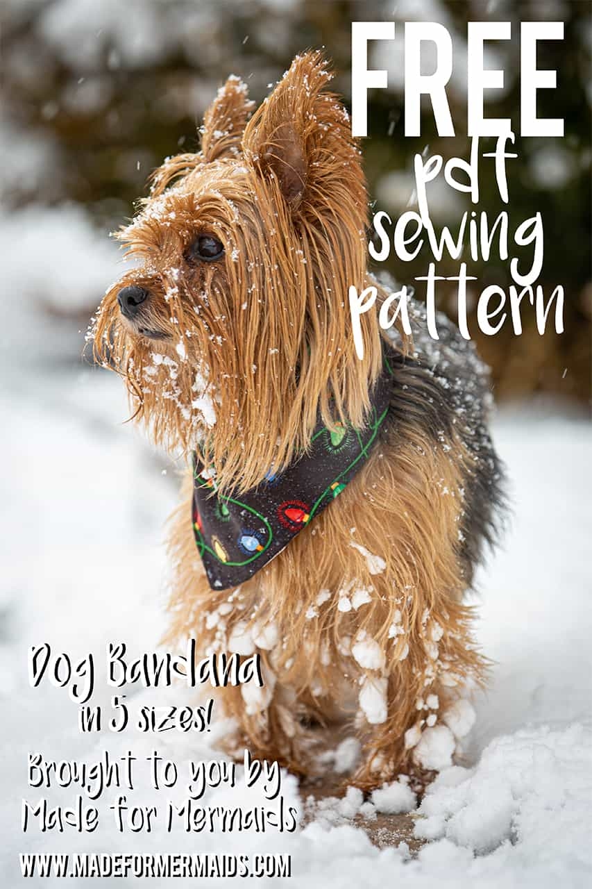 Free Printable Dog Bandana Pattern