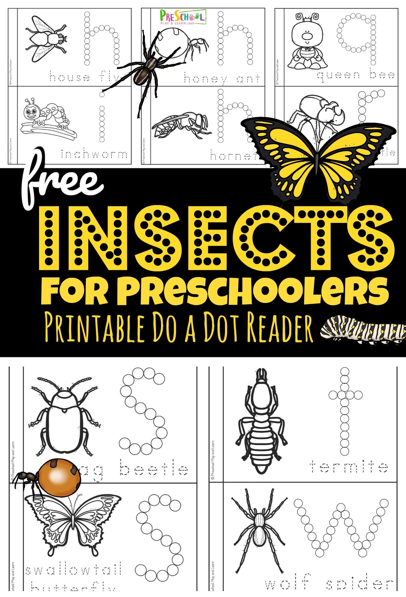 Free Insect Printables For Preschoolers