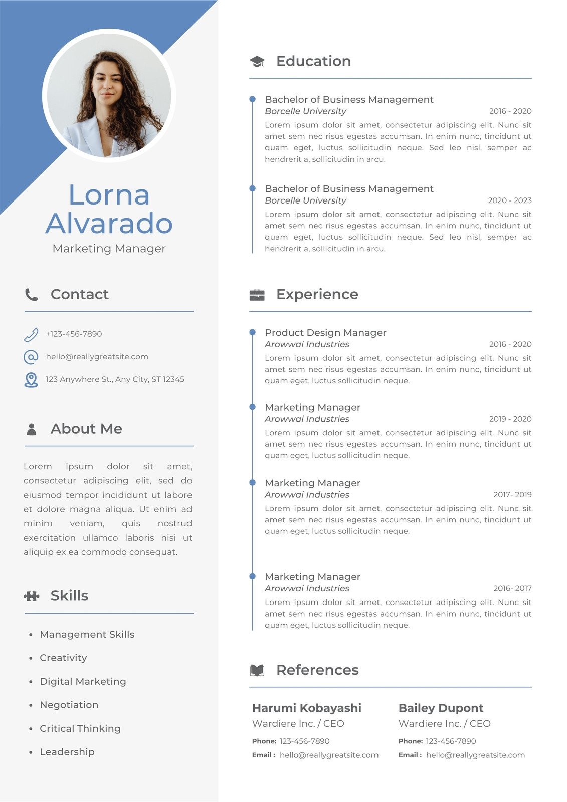 Free Printable Professional Resume Template