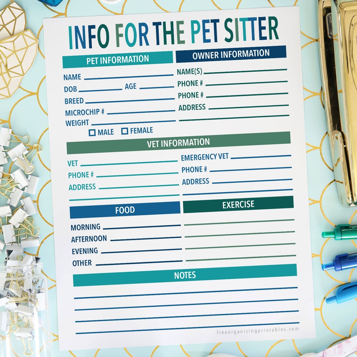 Free Printable Dog Sitter Checklist Template