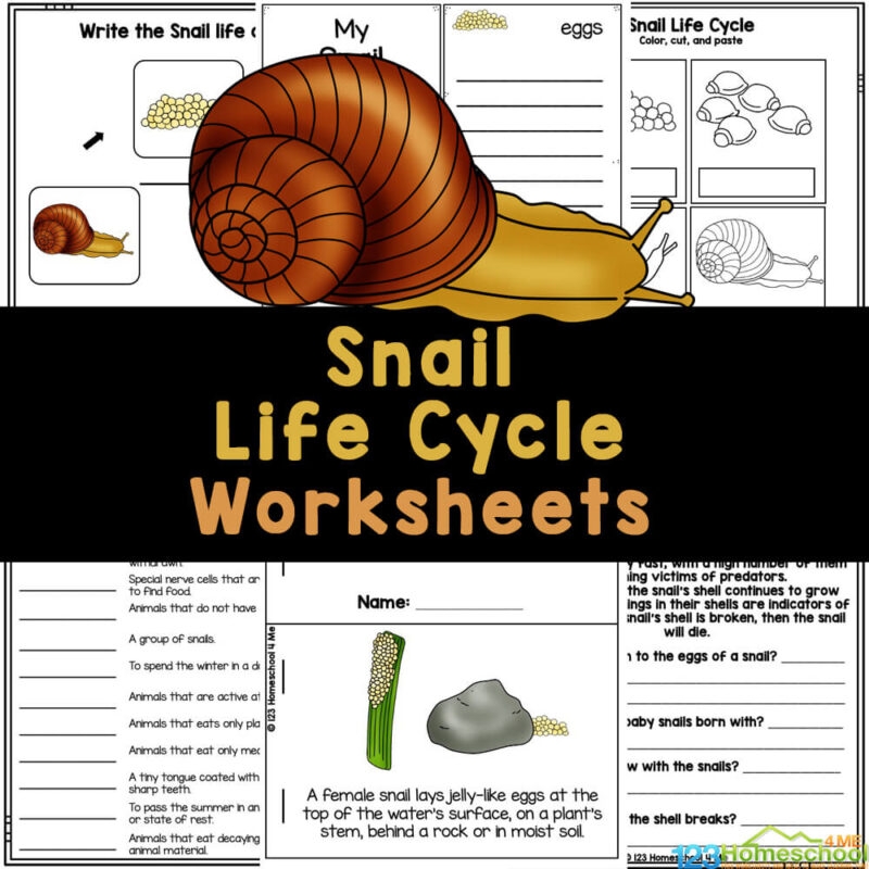Free Printable Snail Body Template