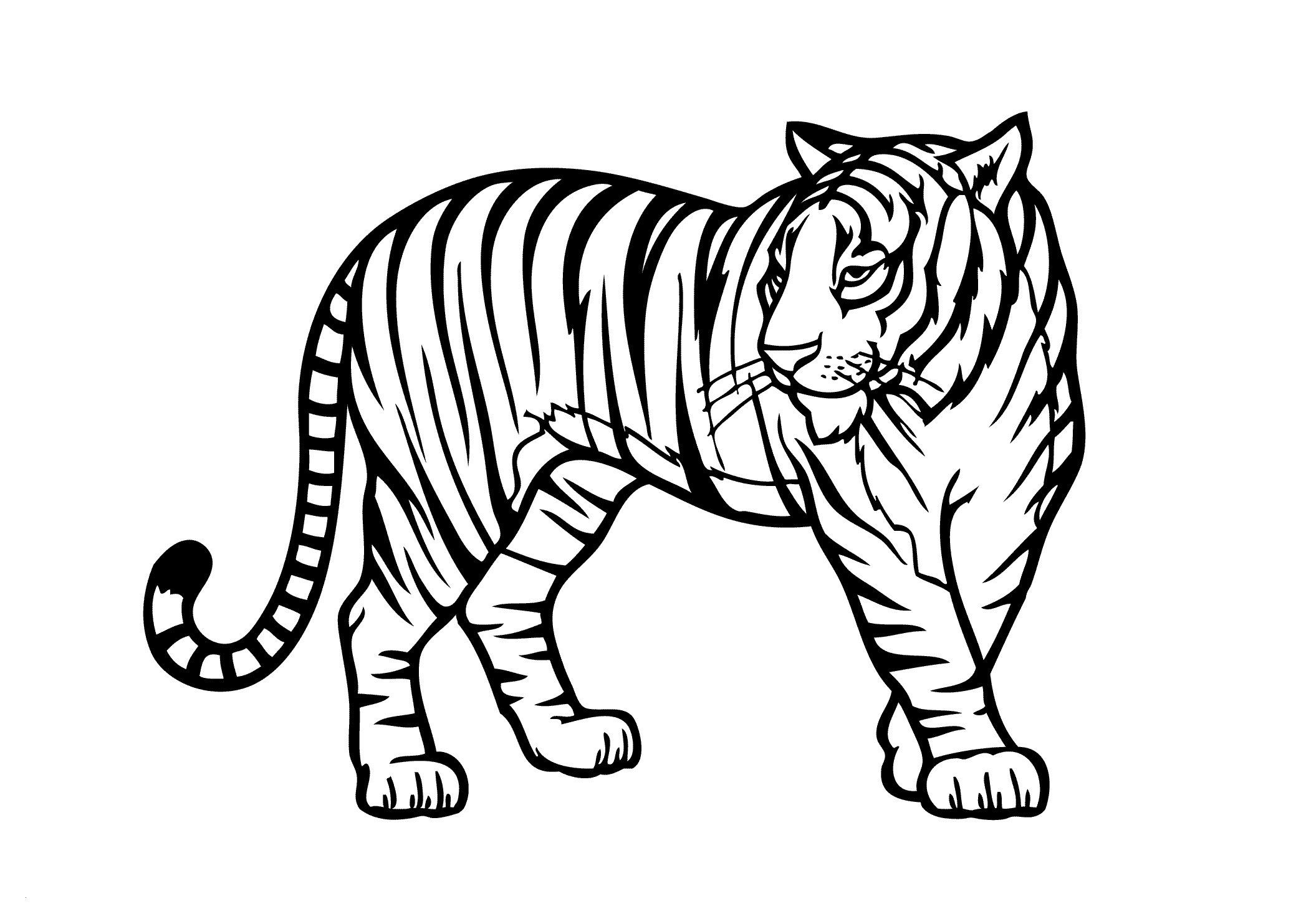 Free Printable Wild Animal Coloring Pages BubaKids Worksheets Library