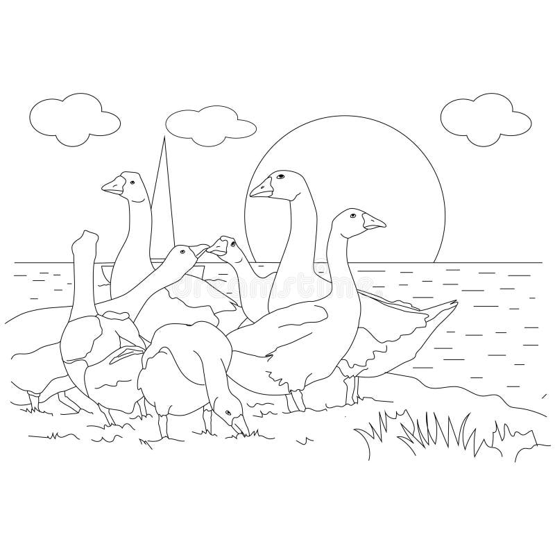 Geese Coloring Stock Illustrations 115 Geese Coloring Stock Illustrations Vectors U0026 Clipart Dreamstime