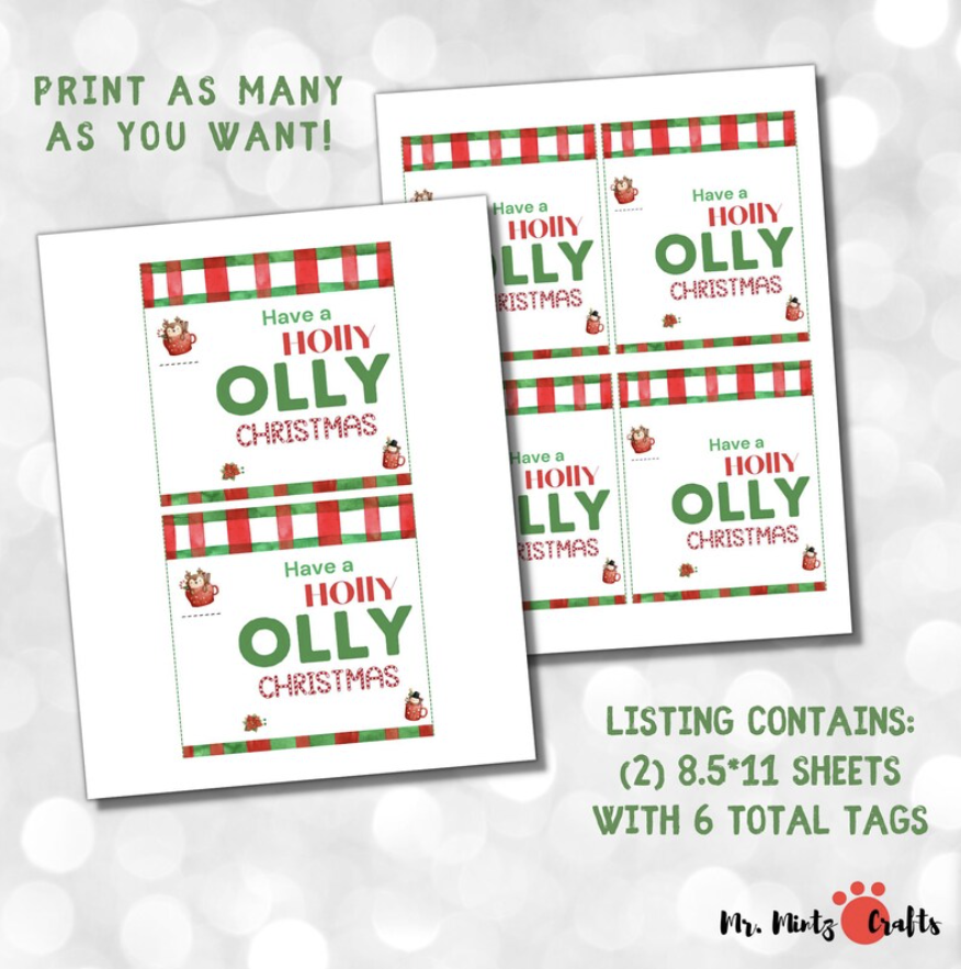 Holly Jolly Christmas Candy Cane Holder Template Made By Teachers