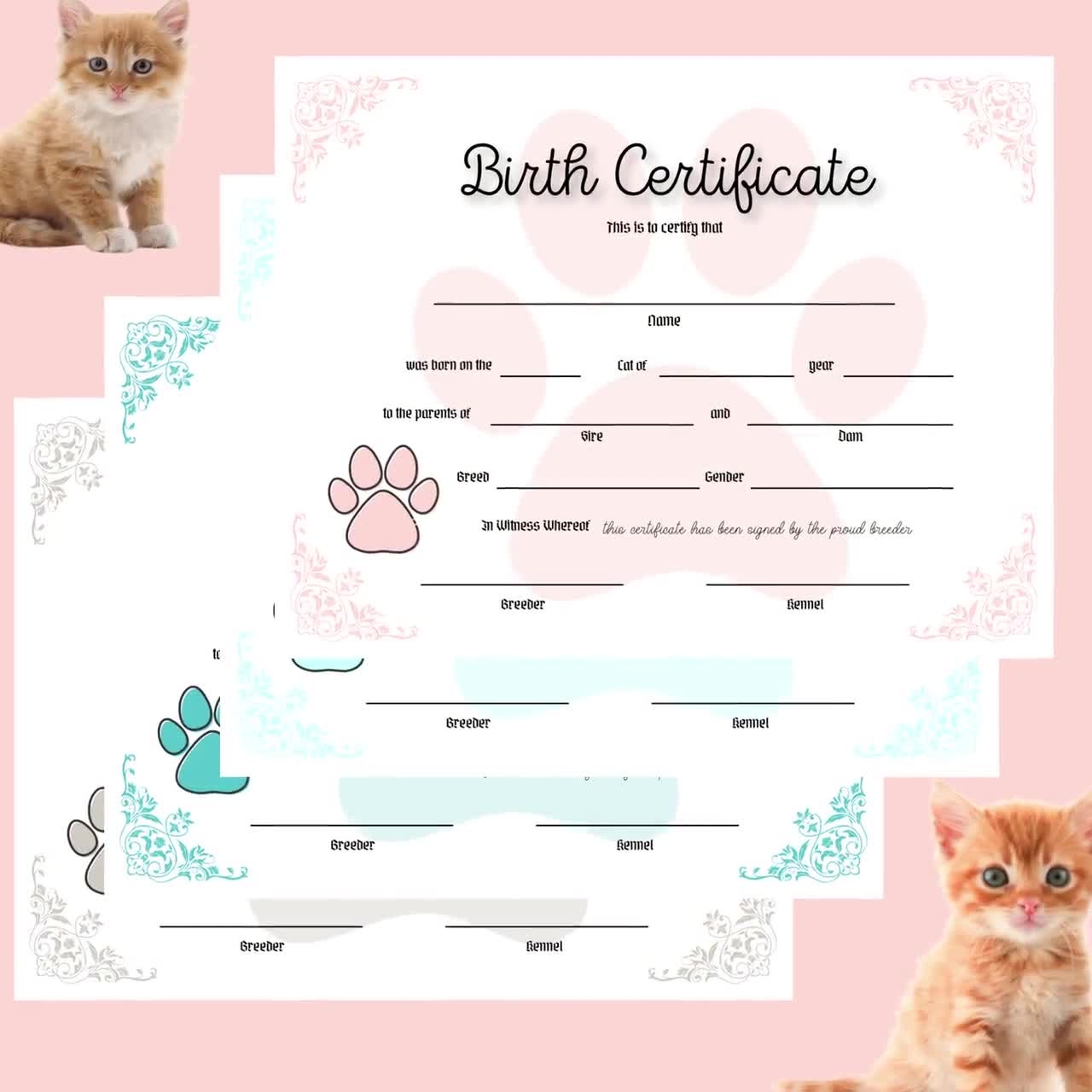 Kitty Birth Certificate Pet Birth Certificate For Kittens Editable PDF COO1