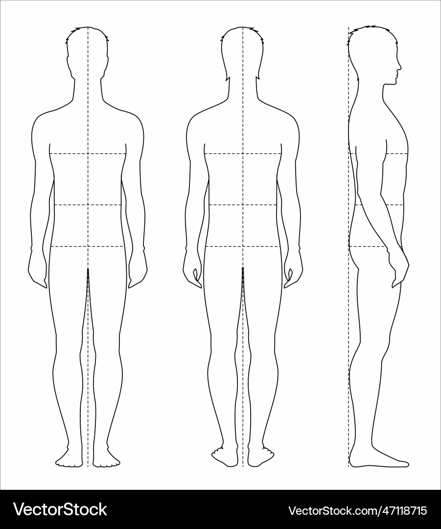 Male Fashion Croquis Template Royalty Free Vector Image