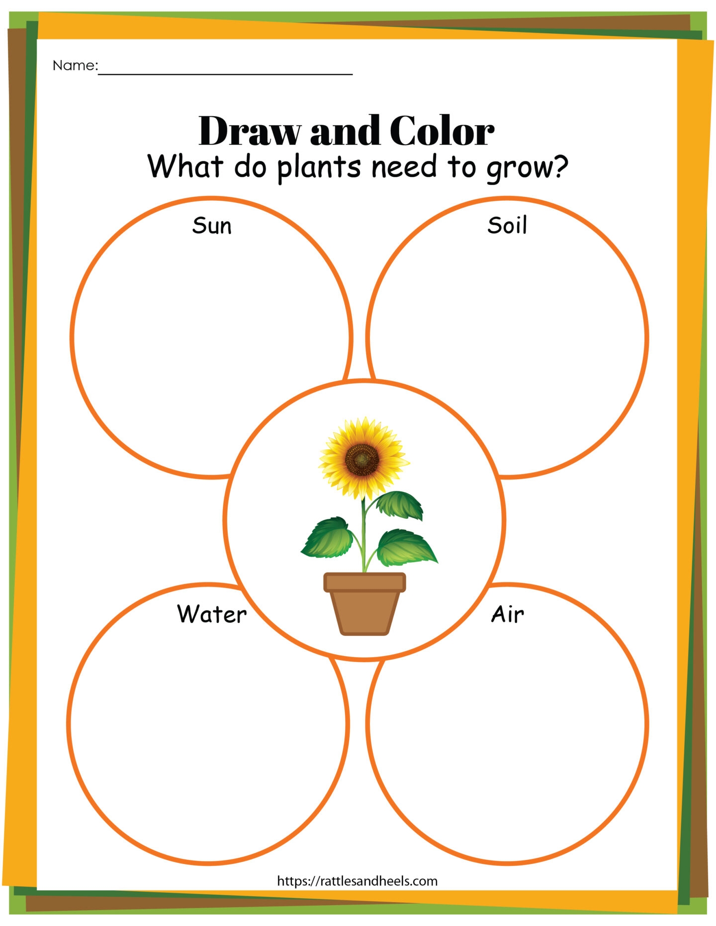 Free Printable Plant Worksheets For Kindergarten