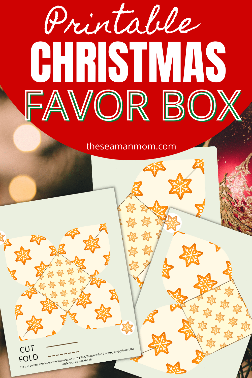 Free Printable Christmas Boxes Templates