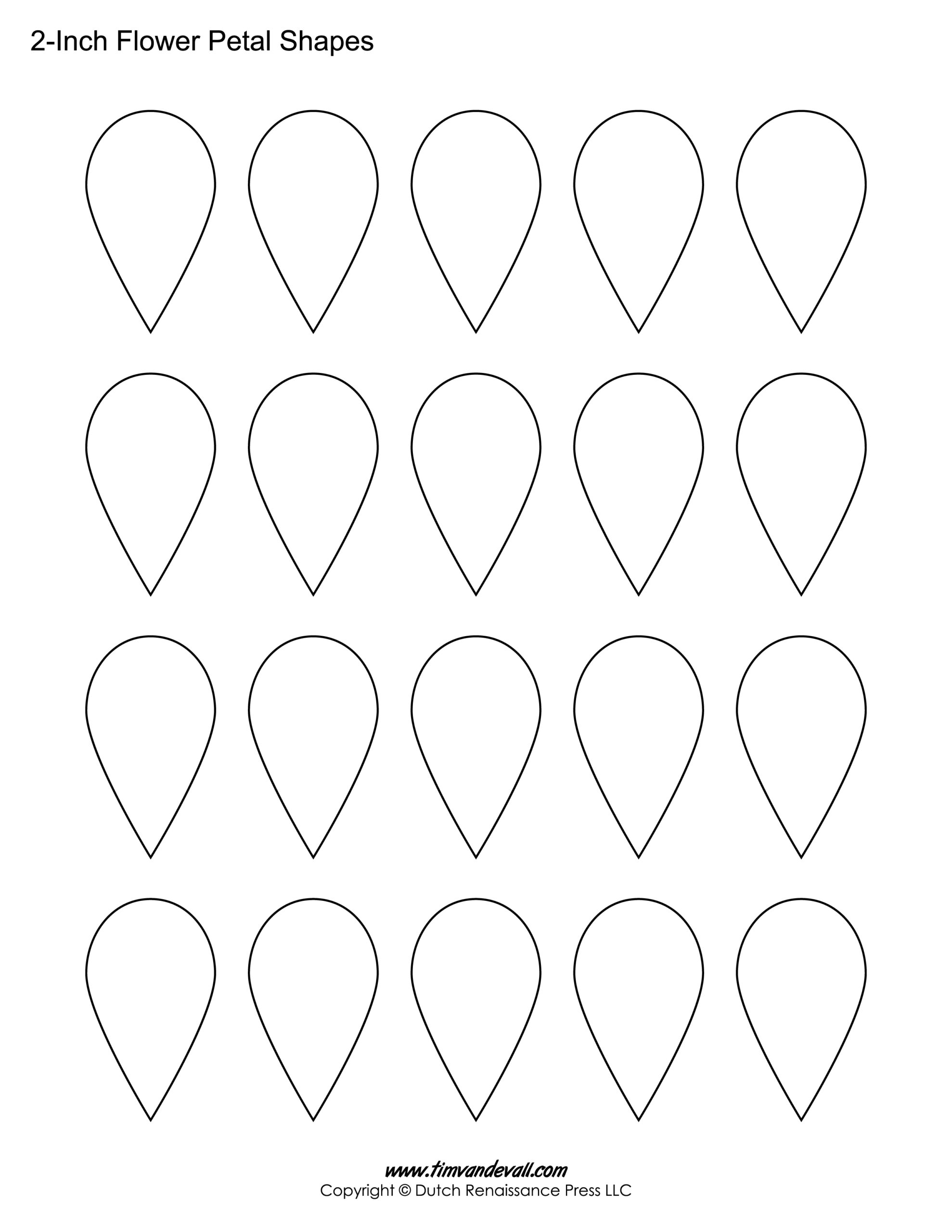 Printable Flower Petal Template Pattern Free