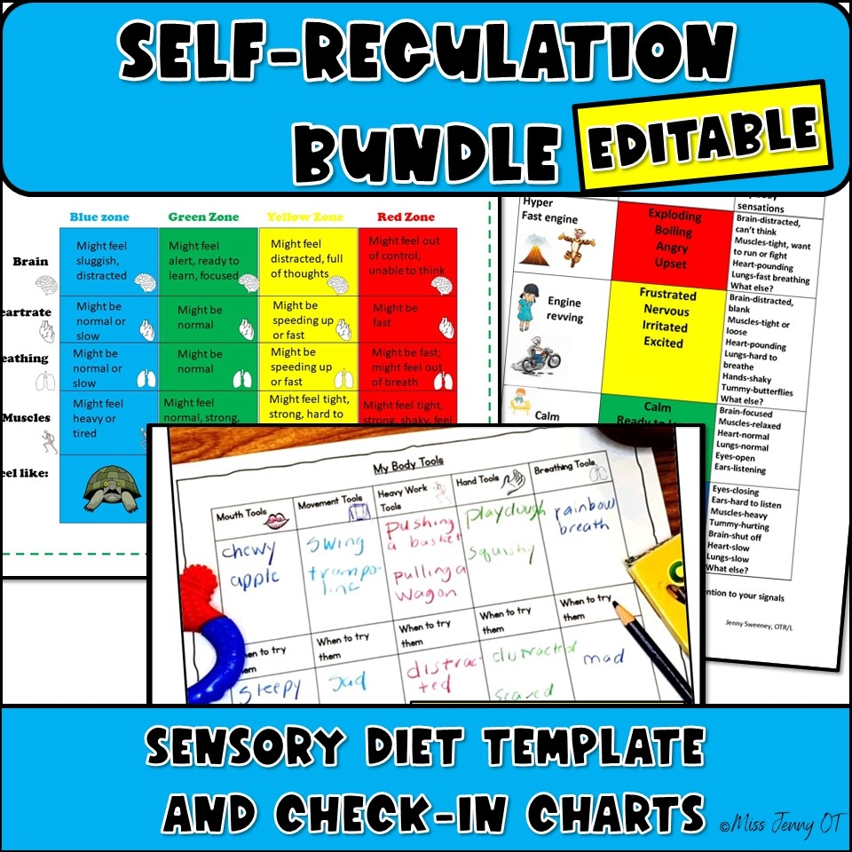 Printable Blank Sensory Diet Template
