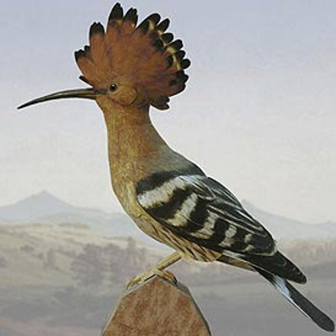 Hoopoe Mask Template Free Printable