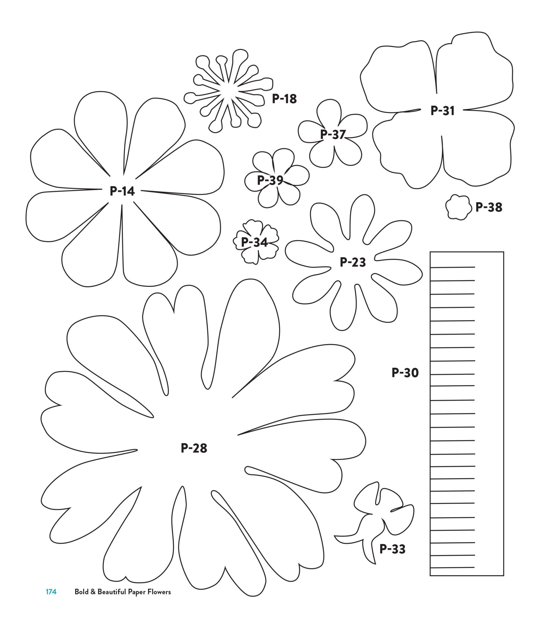 Free Printable Cardstock Paper Flowers Template
