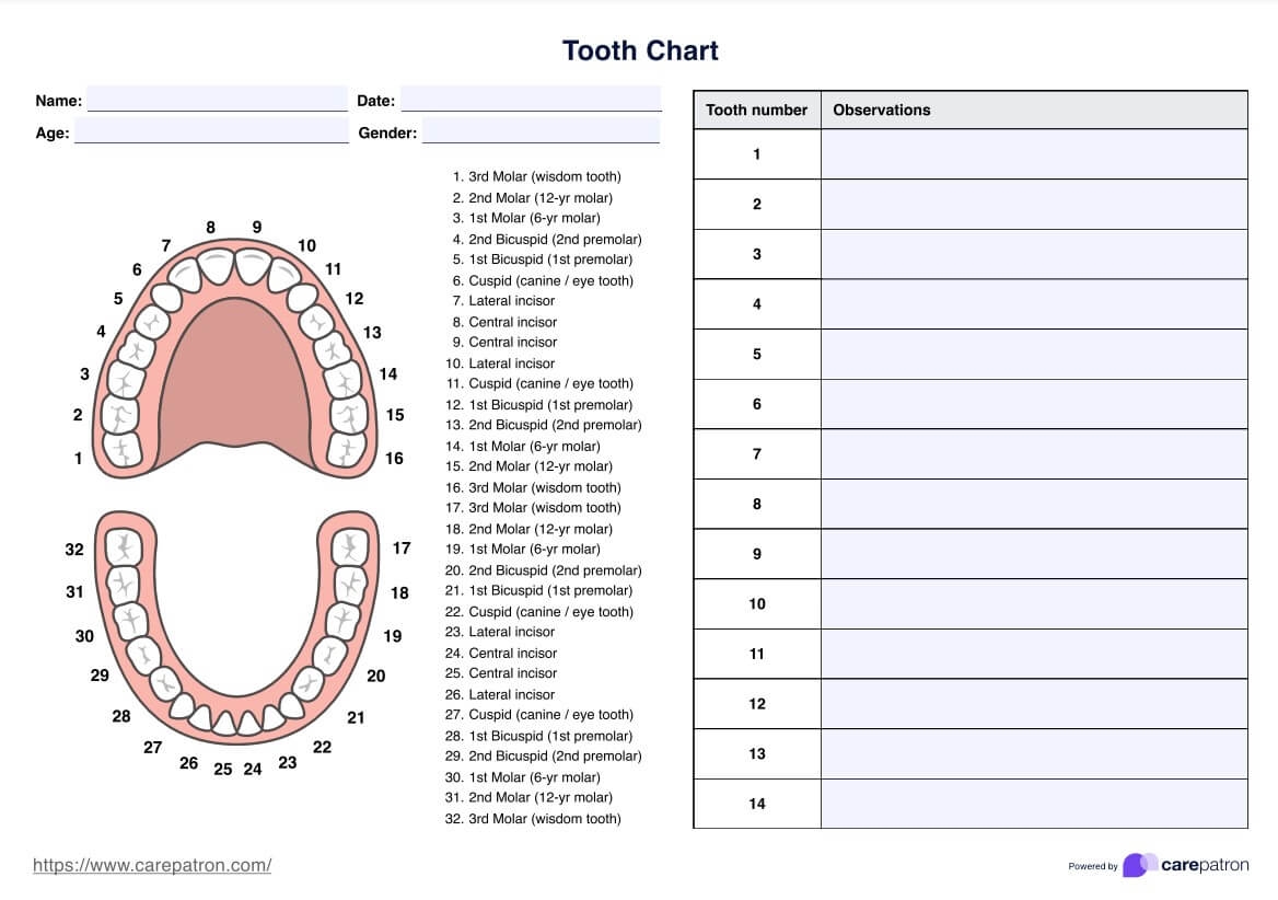 Free Printable Tooth Chart