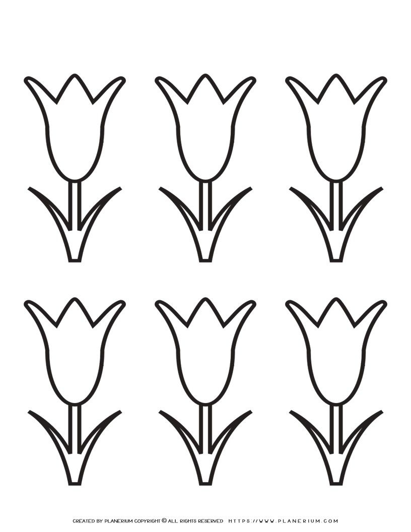 Tulip Template Printable Six Flowers Planerium