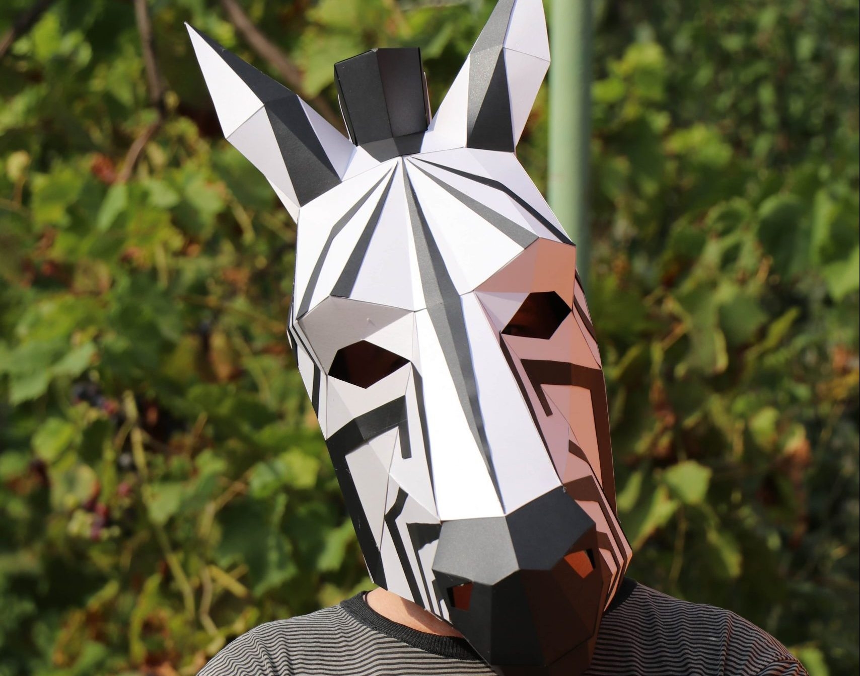 Zebra Mask Template Printable Free