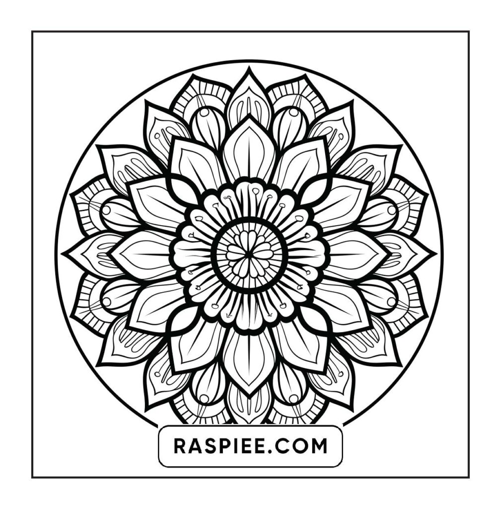 Free Printable Easy Adult Coloring Pages showcasing a detailed mandala design for relaxation