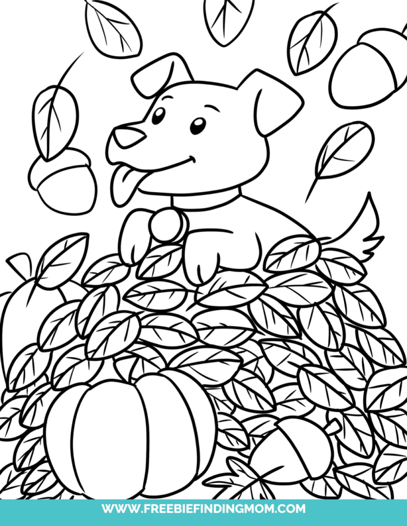 3 Free Printable Cute Fall Coloring Pages