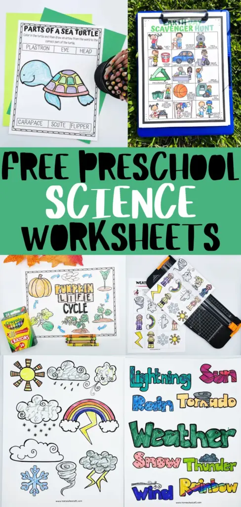 41+ Free Preschool Science Worksheets 41+ Free Preschool Science Worksheets