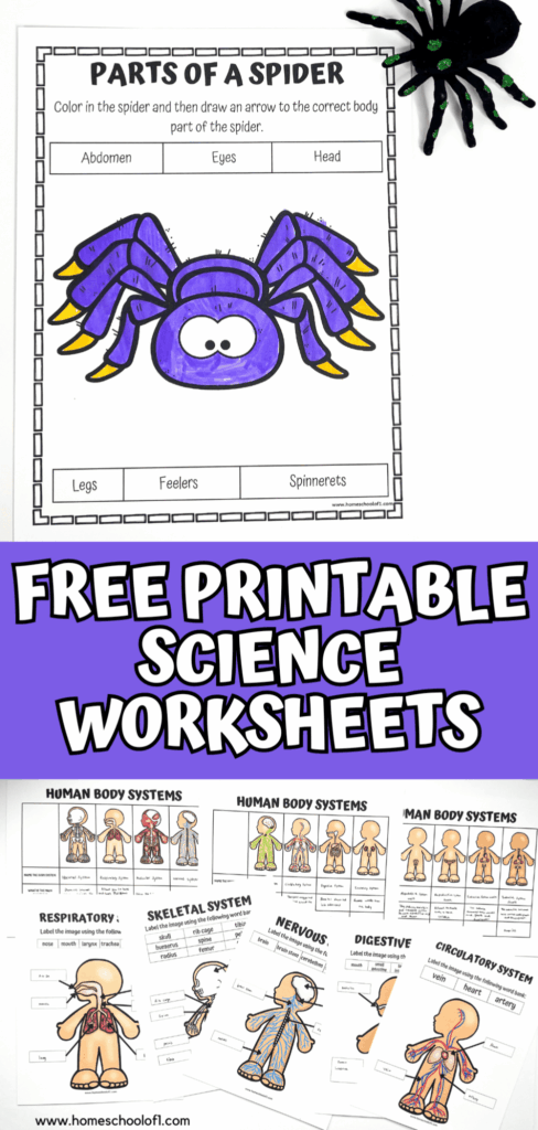 95 Free Science Worksheets for Kids in Grades K–5 95 Free Science Worksheets for Kids in Grades K–5