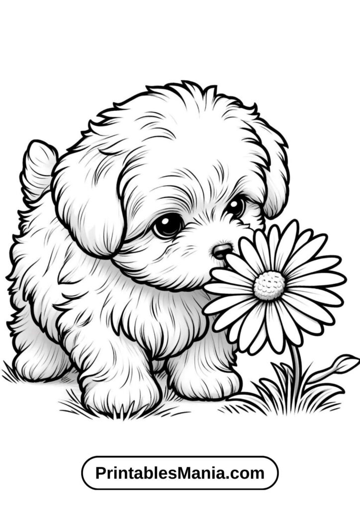 Adorable Puppy Coloring Fun! | Puppy coloring pages, Dog coloring page … Adorable Puppy Coloring Fun! | Puppy coloring pages, Dog coloring page ...