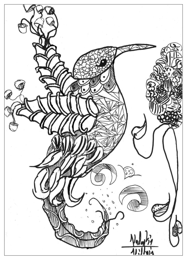 Intricate hummingbird design for Adult Animal Coloring Pages Free, perfect for relaxation and creativity
