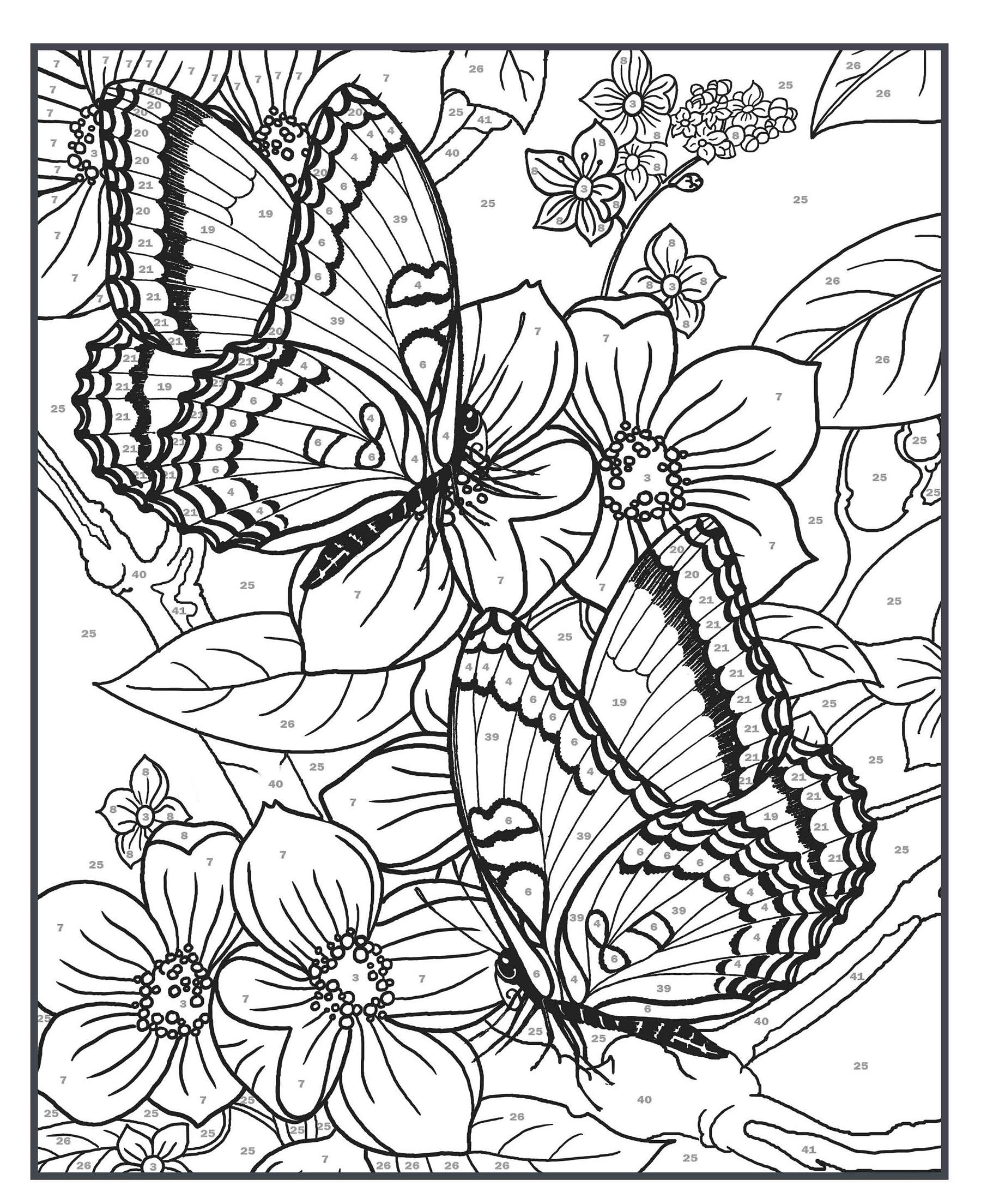 Detailed Adult Color By Number Coloring Pages with butterflies and flowers for creative relaxation