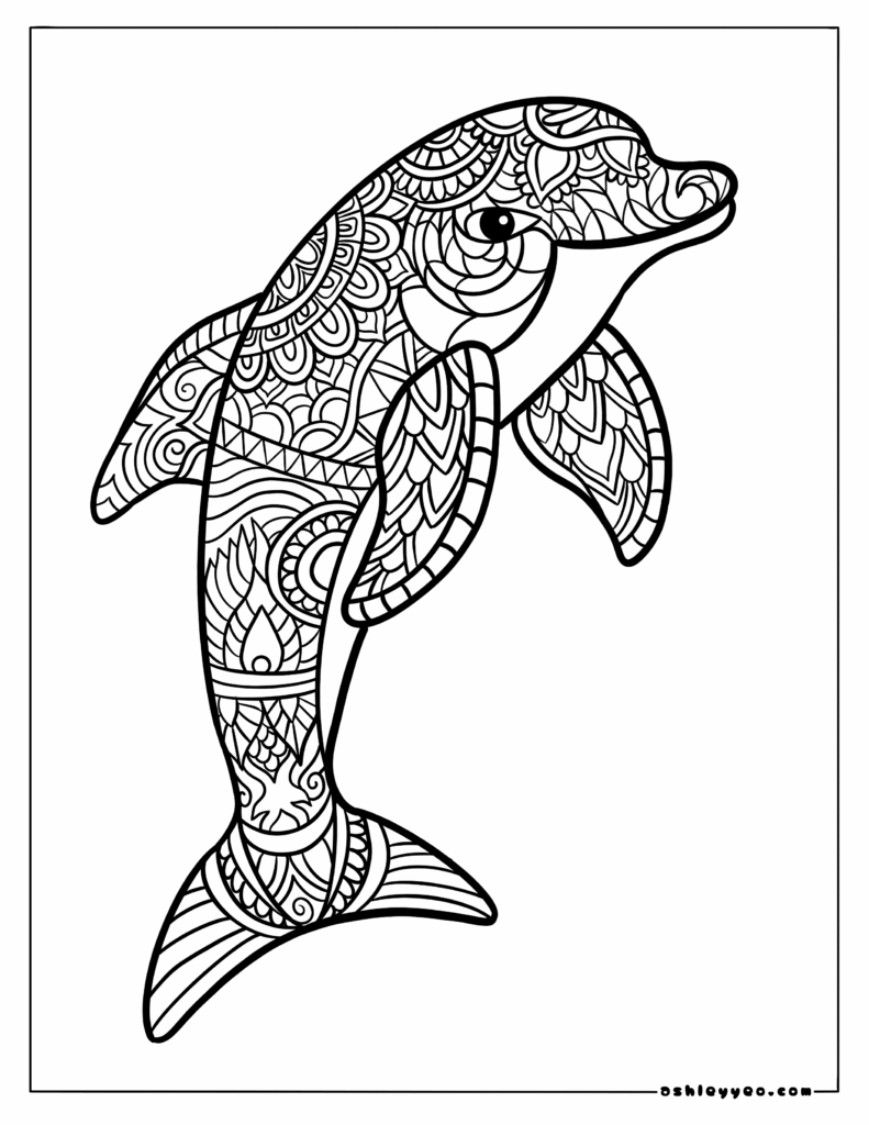 Beautiful dolphin illustration for adult coloring enthusiasts