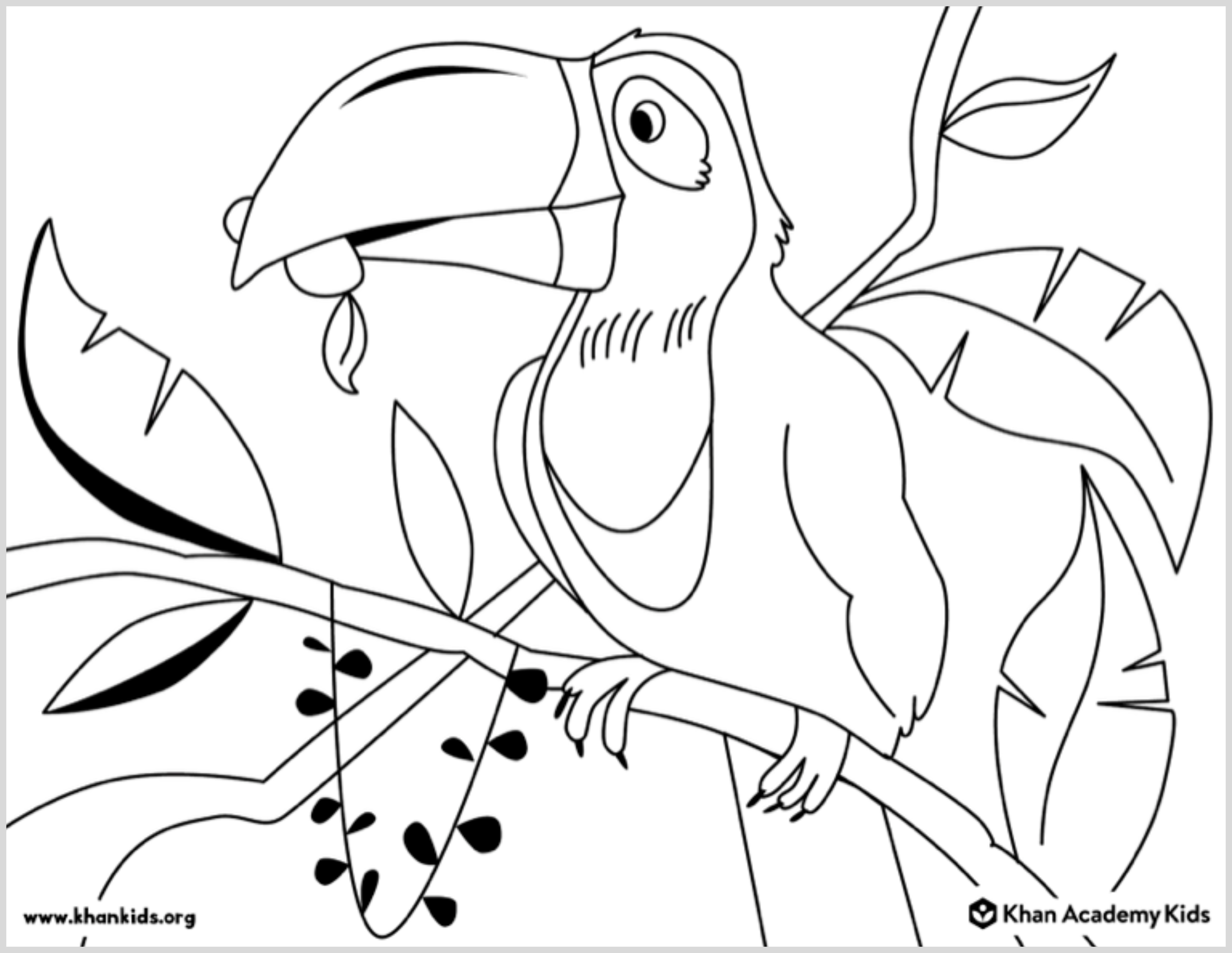 Adult Coloring Pages Free Animals - Free printable adult coloring page featuring a toucan perched on a branch with leaves