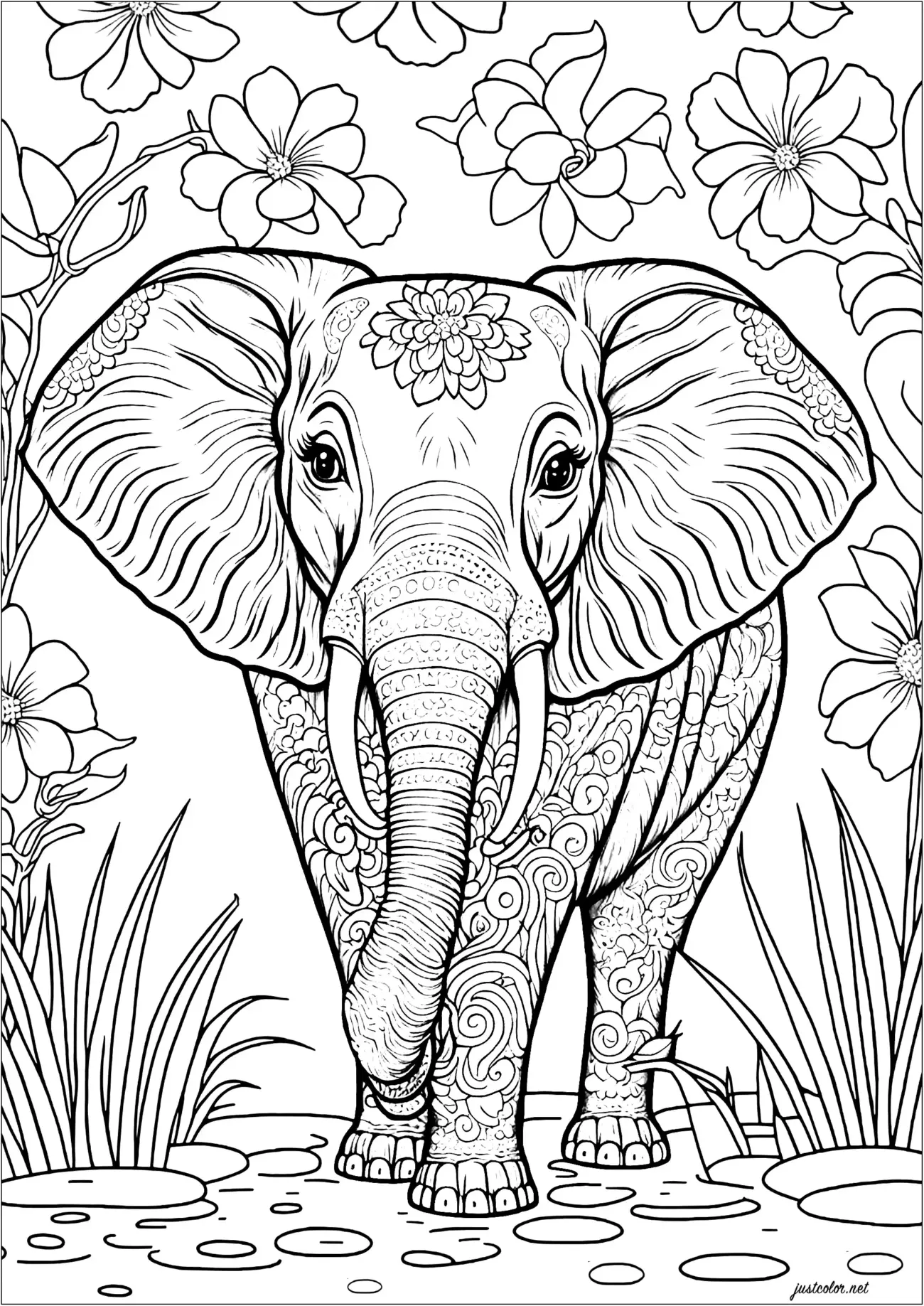 Adult Coloring Pages Free Download - Elephant Coloring Page For Adults