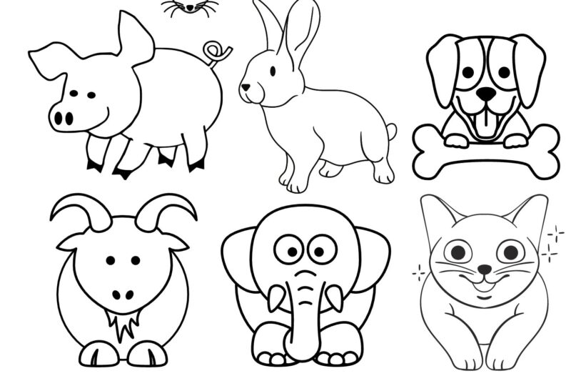 Animal Pictures To Color For Preschoolers
