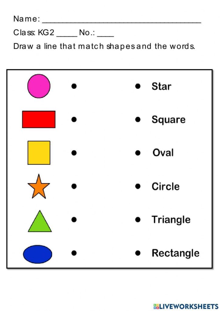 Basic Shapes worksheet for Kindergarten – Worksheets Library Basic Shapes worksheet for Kindergarten - Worksheets Library
