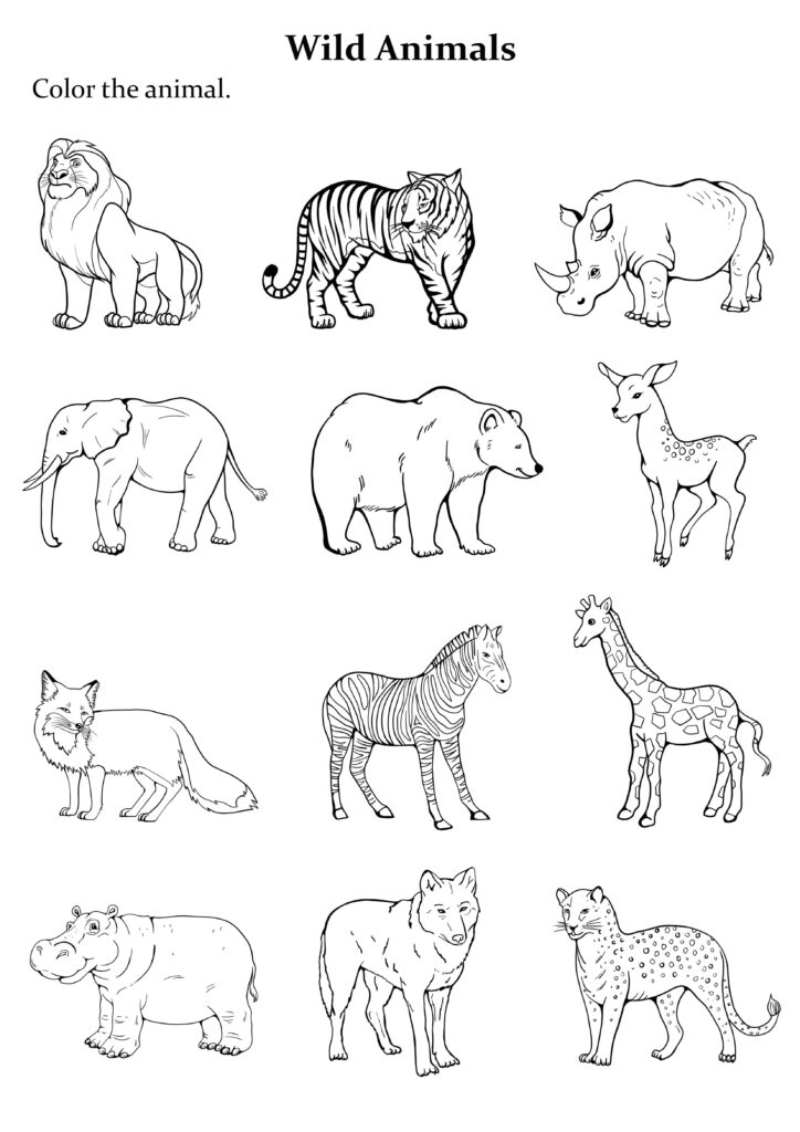 Best 13 Group Of Animals Coloring Page Easy To Print 4D1 – Artofit Best 13 Group Of Animals Coloring Page Easy To Print 4D1 – Artofit