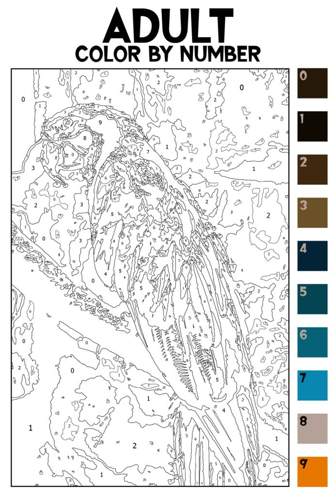Color By Number Adult Printable Coloring Pages Color By Number Adult Printable Coloring Pages