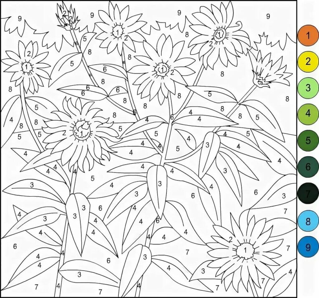 Color By Number Sheets Adults